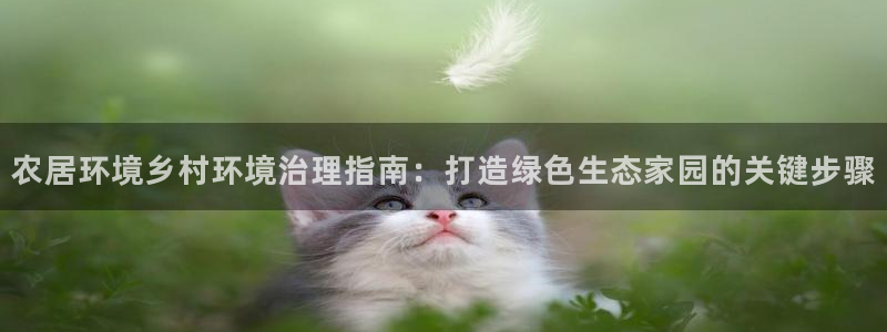 凯发k8国际首页登录：农居环境乡村环境治