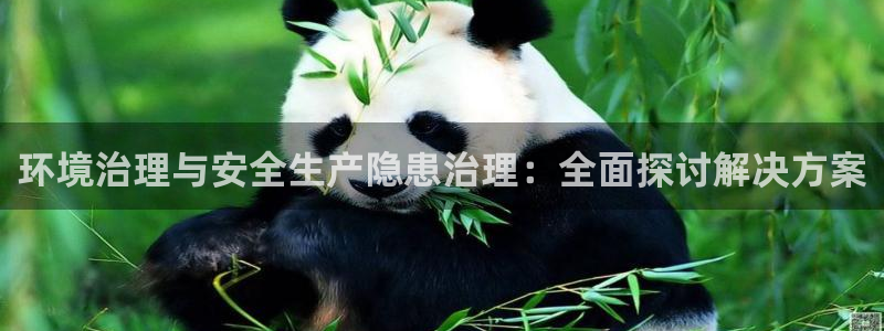 凯发唯一官方网站：环境治理与安全生产隐患治理：全面探讨解决方案
