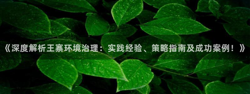凯发网娱乐官网登录：《深度解析王寨环境治