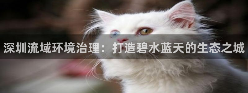 凯发k8天生赢家一触即发：深圳流域环境治理：打造碧水蓝天的生态之城