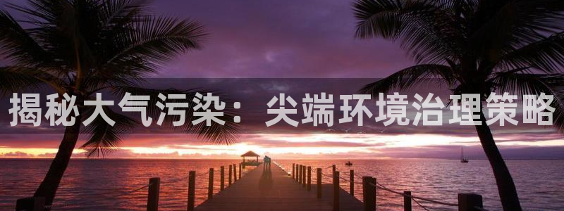 凯发k8国际首页登录|揭秘大气污染：尖端环境治理策略