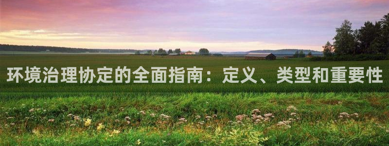 凯发k8一触即发|环境治理协定的全面指南：定义、类型和重要性