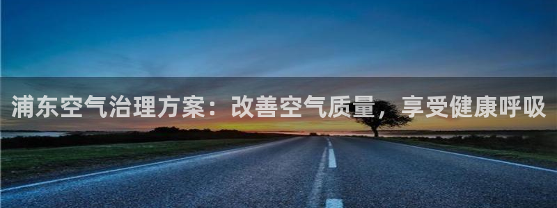 凯发k8娱乐官网手机端|浦东空气治理方案