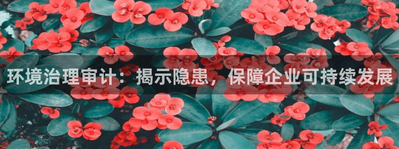 凯发k8国际(中国)官方网站·一触即发|环境治理审计：揭示隐患，保障企业可持续发