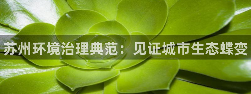 凯发k8旗舰厅注册登录|苏州环境治理典范：见证城市生态蝶变