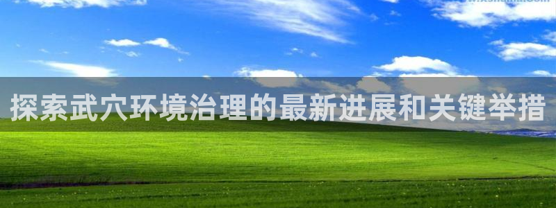凯发k8国际首页登录|探索武穴环境治理的最新进展和关键举措