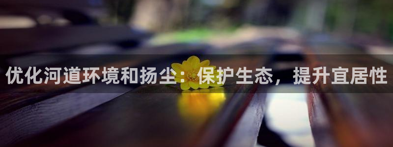 优化河道环境和扬尘：保护生态，提升宜居性