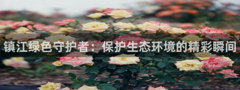 凯发唯一官方网站|镇江绿色守护者：保护生