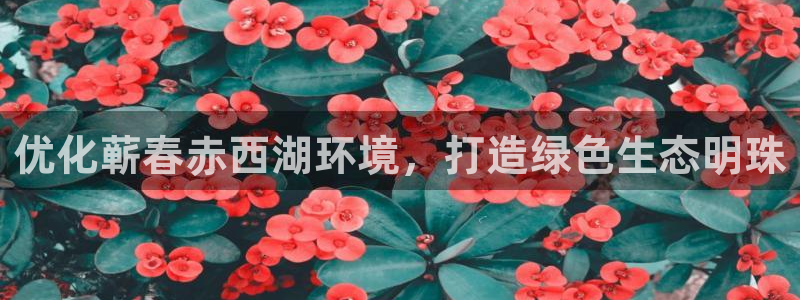 凯发k8国际首页登录|优化蕲春赤西湖环境，打造绿色生态明珠