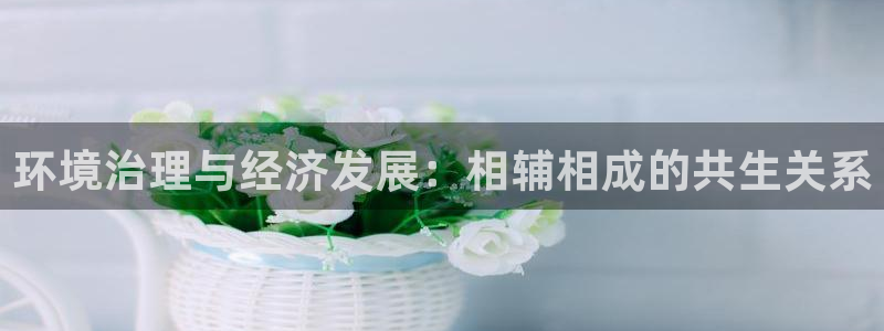凯发k8国际首页登录|环境治理与经济发展