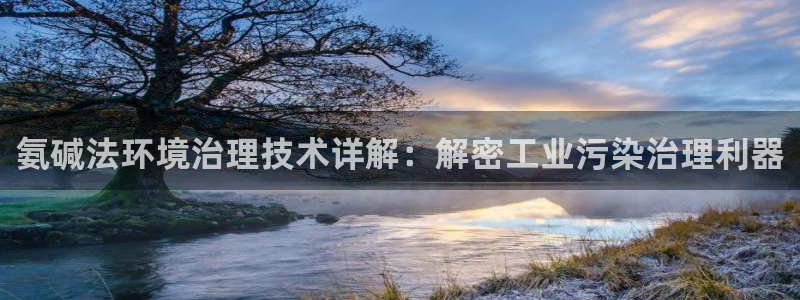 凯发k8旗舰厅注册登录|氨碱法环境治理技术详解：解密工业污染治理利器