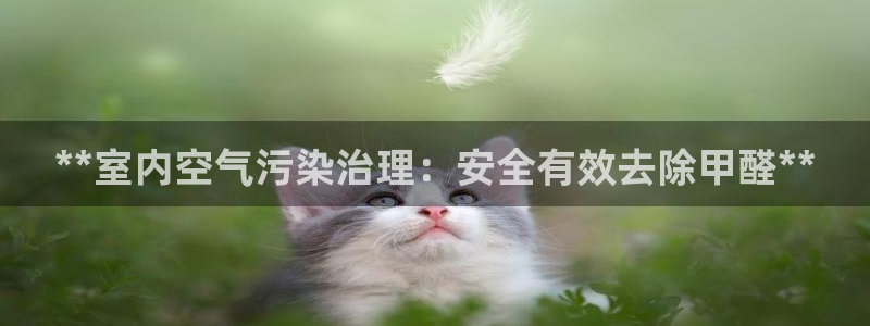 凯发k8娱乐官网手机端|**室内空气污染