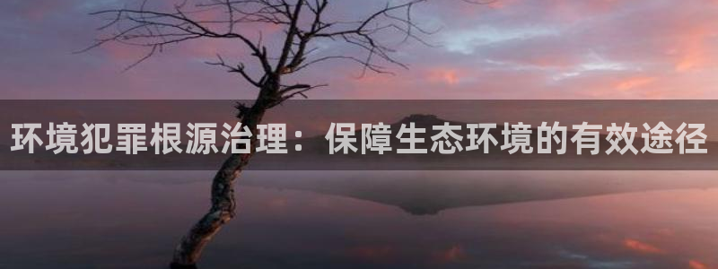 凯发唯一官方网站|环境犯罪根源治理：保障