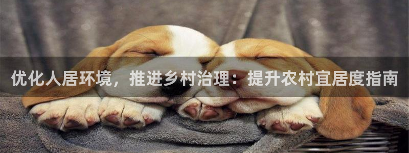 k8凯发|优化人居环境，推进乡村治理：提升农村宜居度指南
